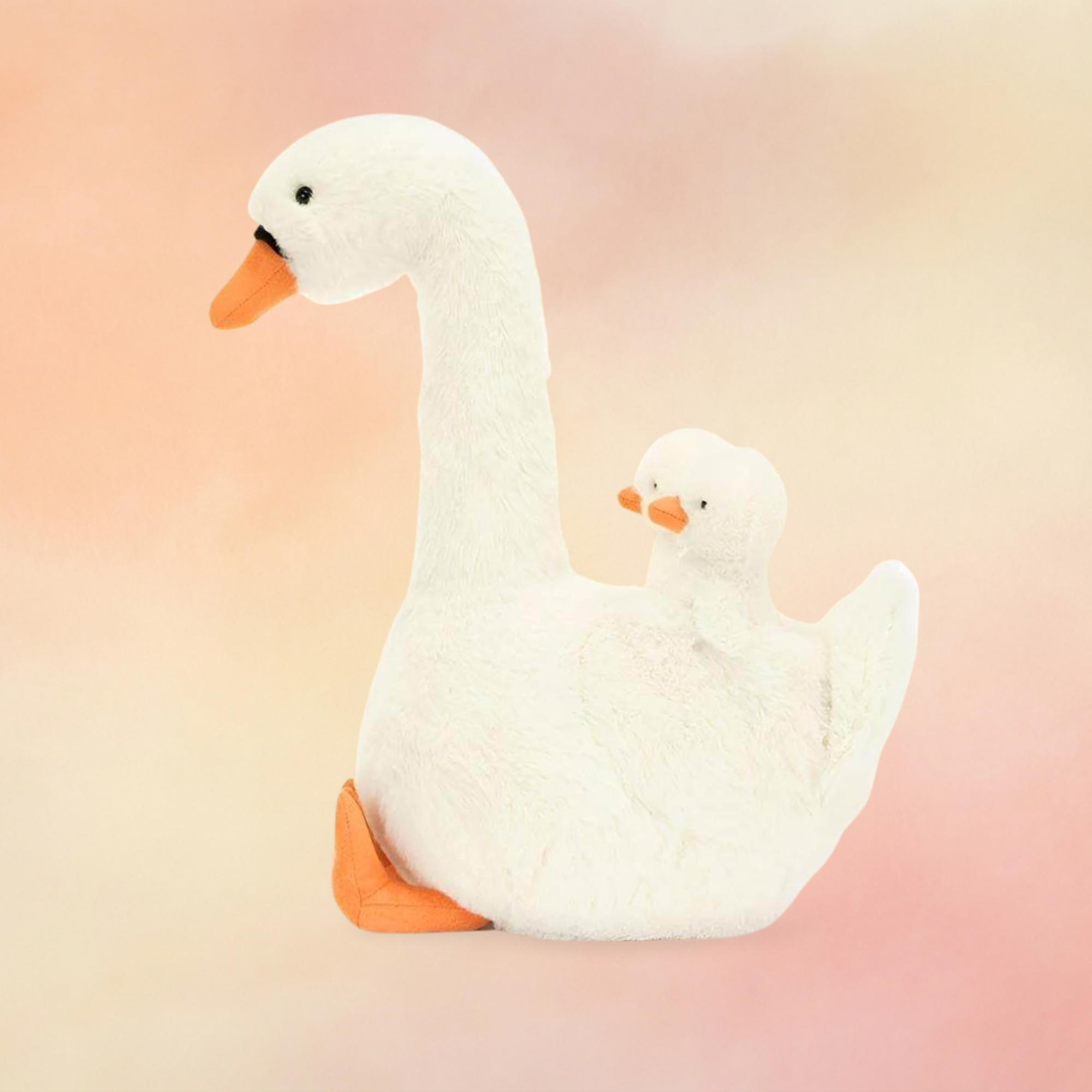 Featherful Swan | Birds Collection