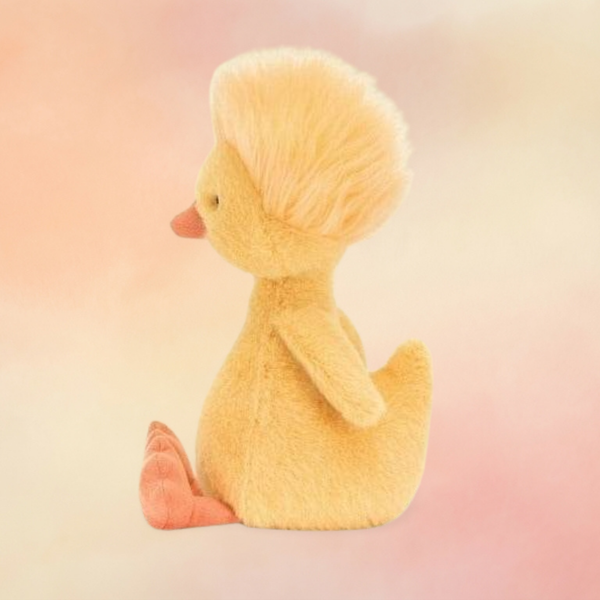 Dorit Duckling | Birds Collection