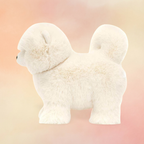 Daphne Pomeranian | Dogs & Puppies Collection