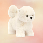 Daphne Pomeranian | Dogs & Puppies Collection