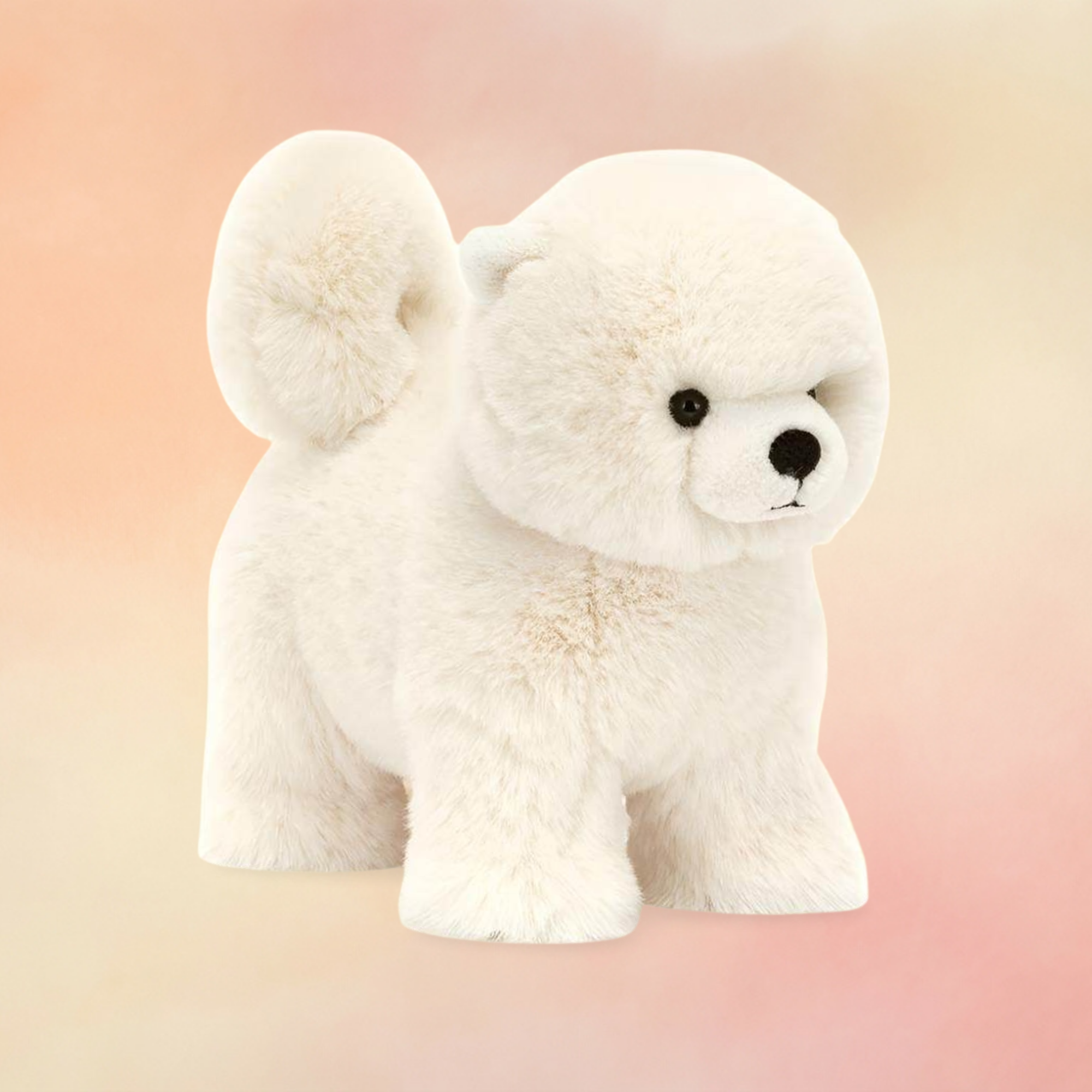 Daphne Pomeranian | Dogs & Puppies Collection