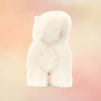 Daphne Pomeranian | Dogs & Puppies Collection