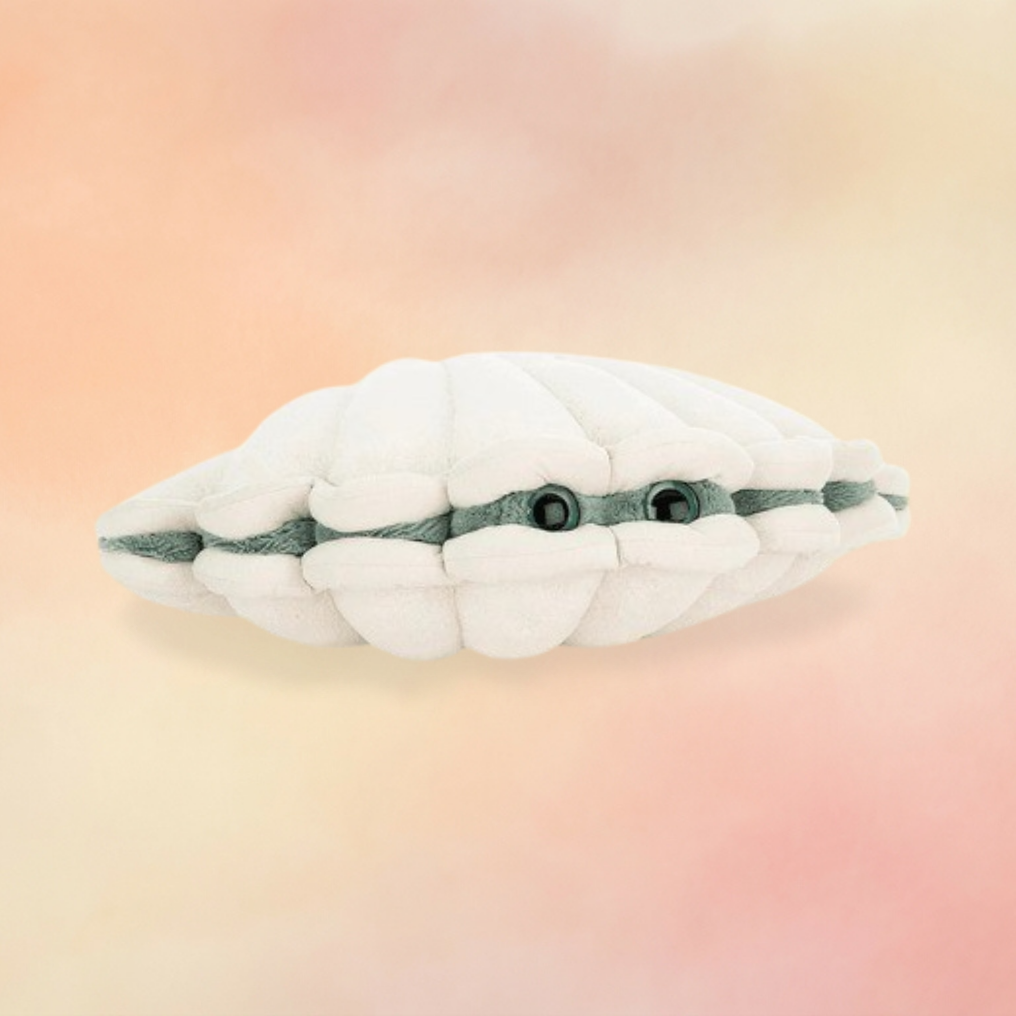 Chloe Clam | Ocean Collection