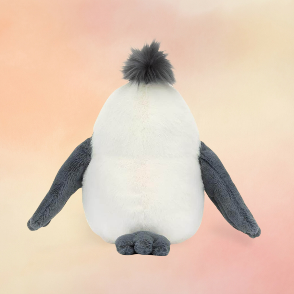 Chip Seagull | Birds Collection