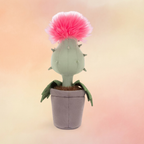 Carniflore Priscilla | Amuseables Plants & Woodland