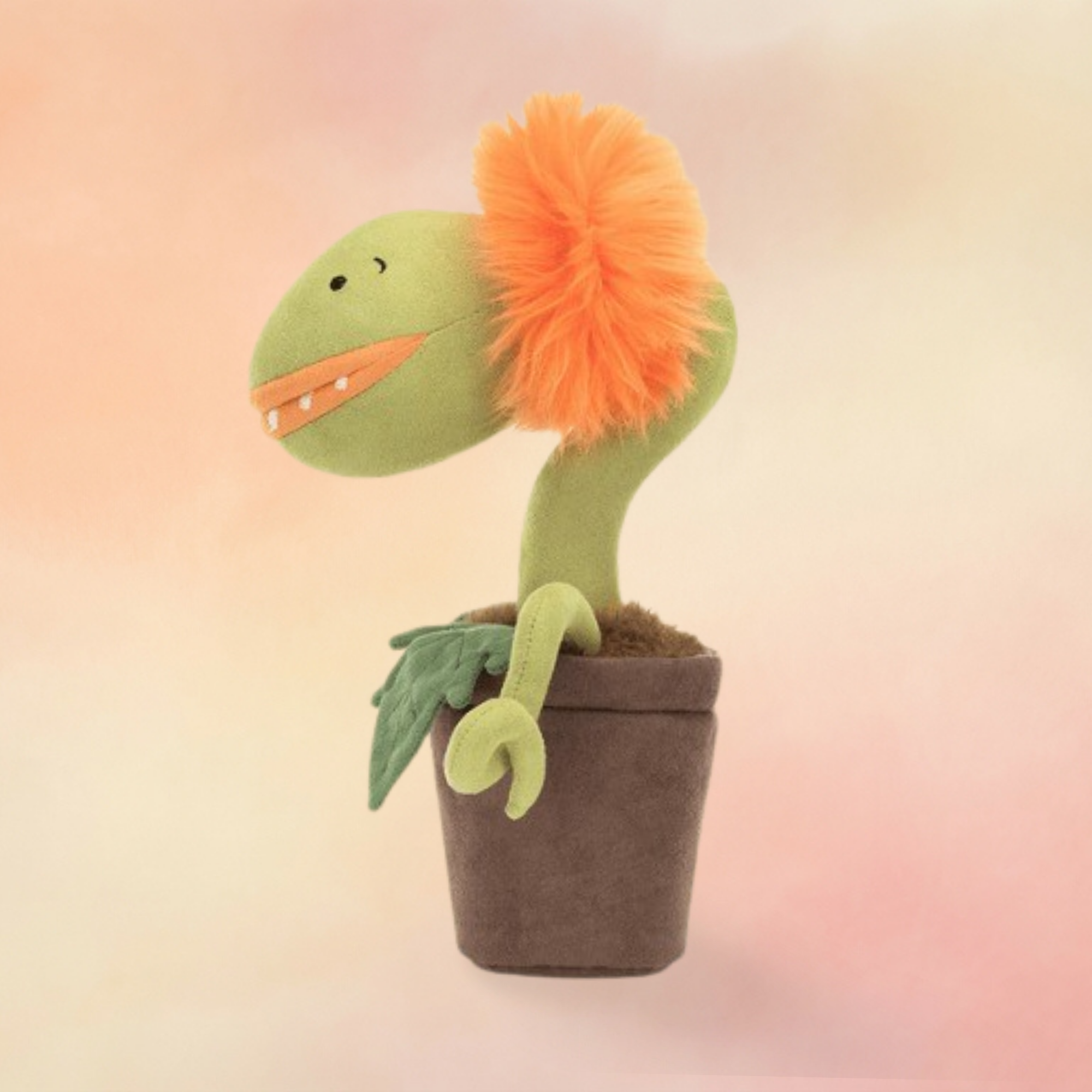 Carniflore Tammie | Amuseables Plants & Woodland