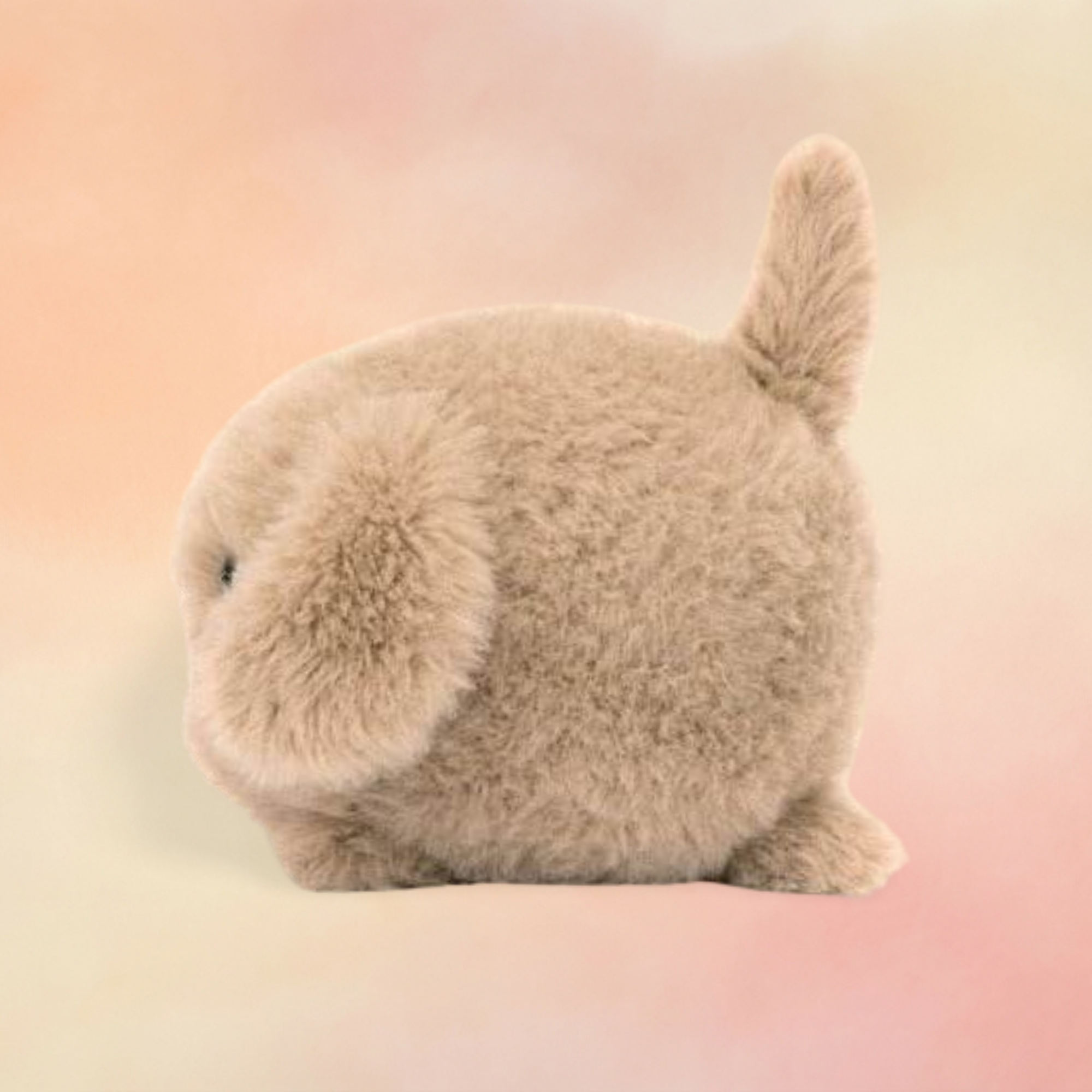 Caboodle Puppy | Dogs & Puppies Collection