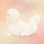 Carissa Persian Cat | Cats & Kittens Collection