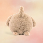 Caboodle Puppy | Dogs & Puppies Collection