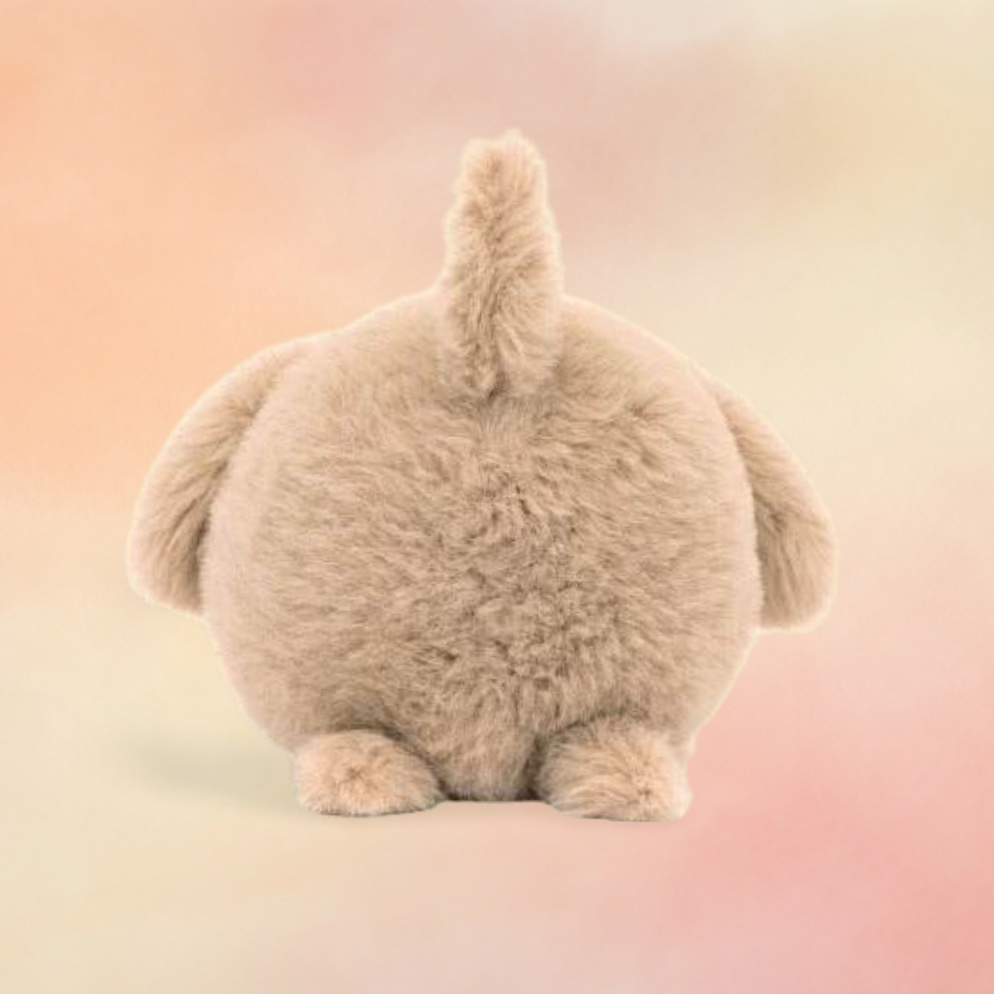 Caboodle Puppy | Dogs & Puppies Collection