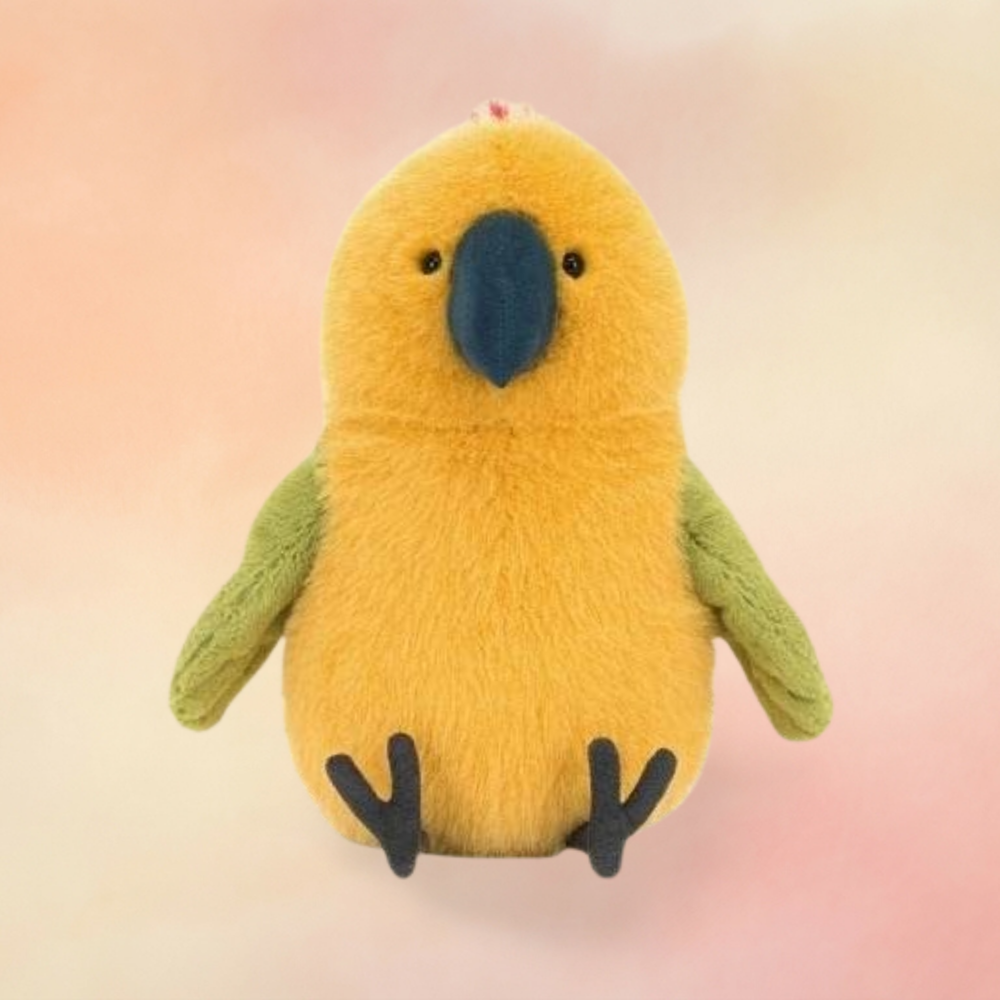 Budgeby Parrot | Birds Collection