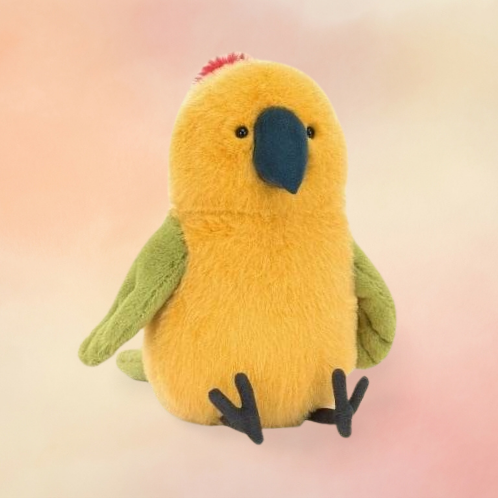 Budgeby Parrot | Birds Collection