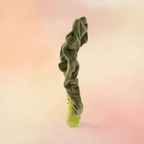 Vivacious Vegetable Kale Leaf | Vivacious Collection