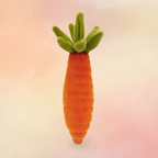 Vivacious Vegetable Carrot | Vivacious Collection