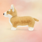 Betty Corgi | Dogs & Puppies Collection