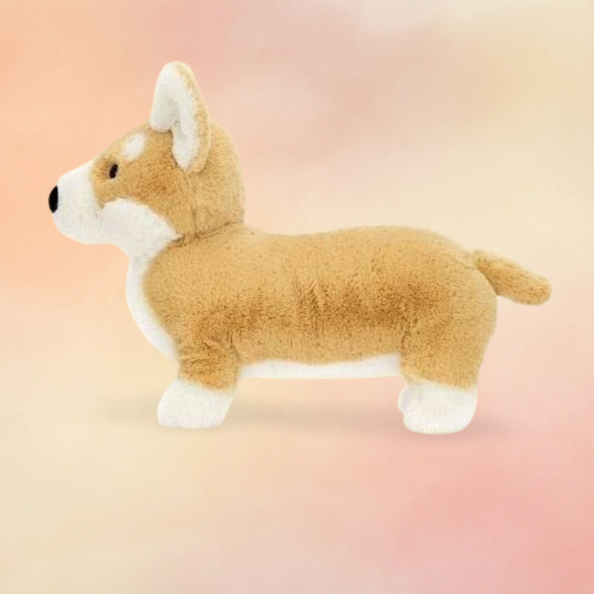 Betty Corgi | Dogs & Puppies Collection