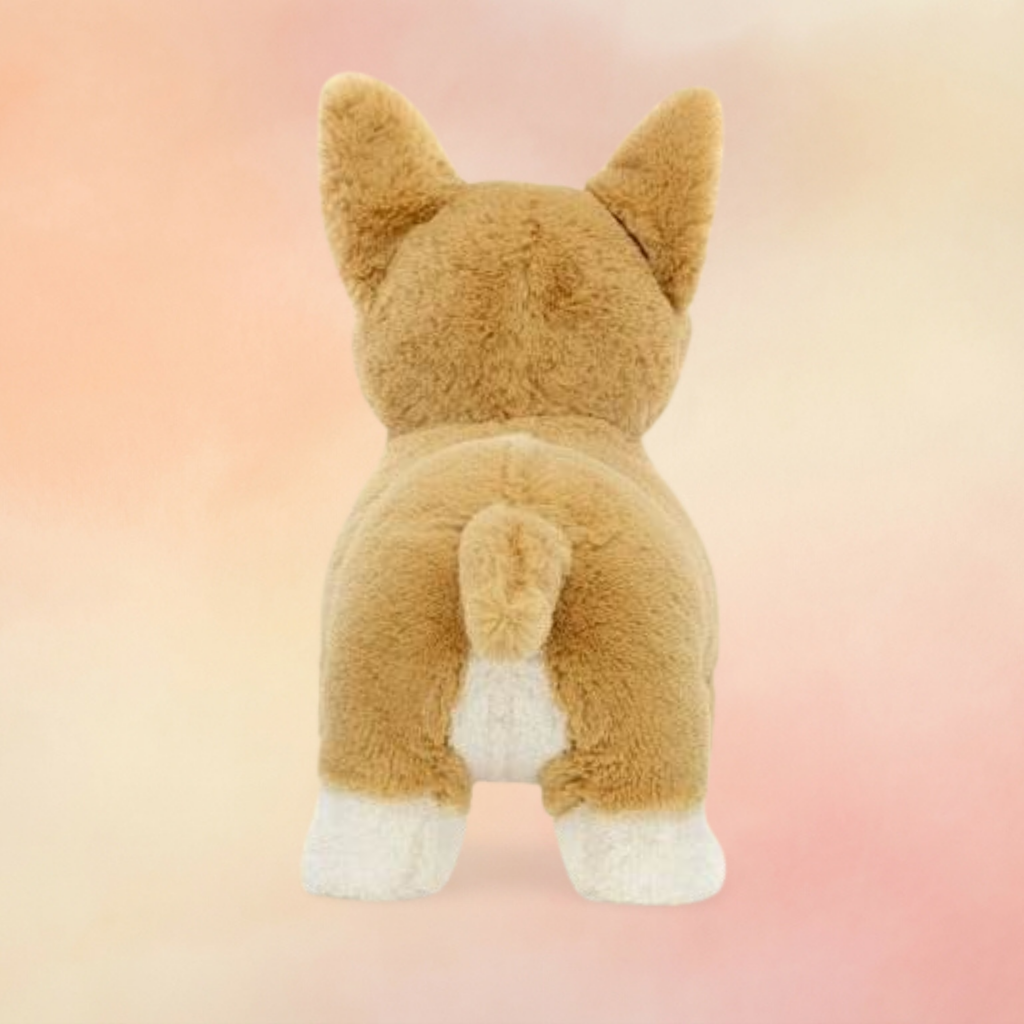 Betty Corgi | Dogs & Puppies Collection