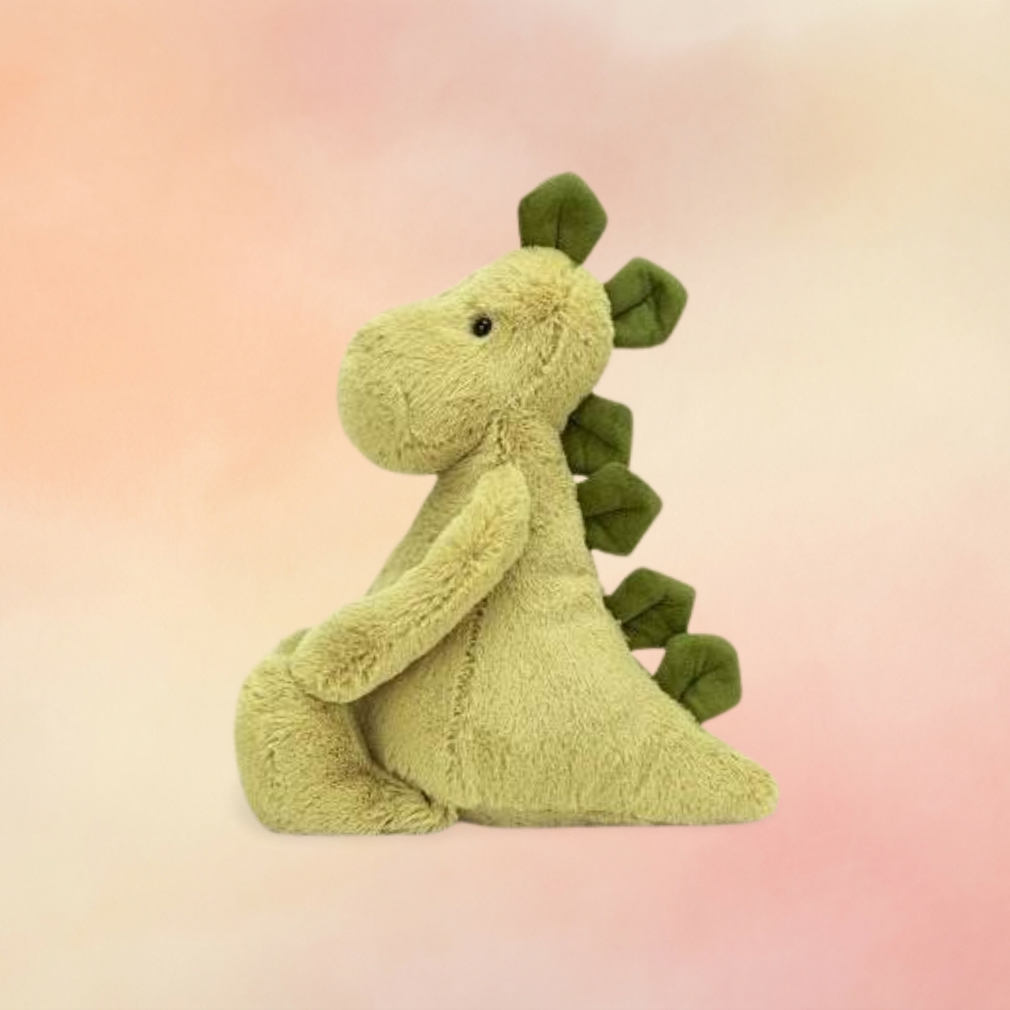 Bashful Dino | Bashful Collection