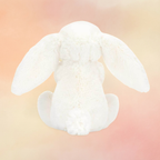 Bashful Carrot Bunny | Bashful Collection